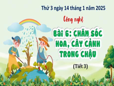 Bài giảng Công nghệ Lớp 4 (Kết nối tri thức) - Phần 1: Công nghệ và đời sống - Bài 6: Công nghệ chăm sóc hoa, cây cảnh trong chậu (Tiết 3)