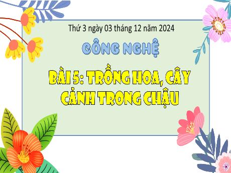 Bài giảng Công nghệ Lớp 4 (Kết nối tri thức) - Phần 1: Công nghệ và đời sống - Bài 5: Trồng hoa, cây cảnh trong chậu