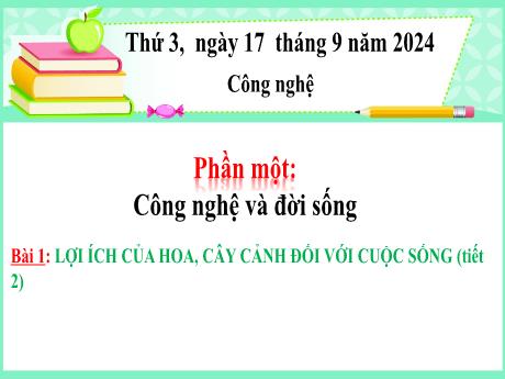 Bài giảng Công nghệ Lớp 4 (Kết nối tri thức) - Phần 1: Công nghệ và đời sống - Bài 1: Lợi ích của hoa, cây cảnh đối với cuộc sống (Tiết 2)