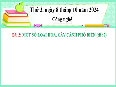 Bài giảng Công nghệ Lớp 4 (Kết nối tri thức) - Phần 1: Công nghệ và đời sống - Bài 2: Một số loại hoa, cây cảnh phổ biến (Tiết 2)