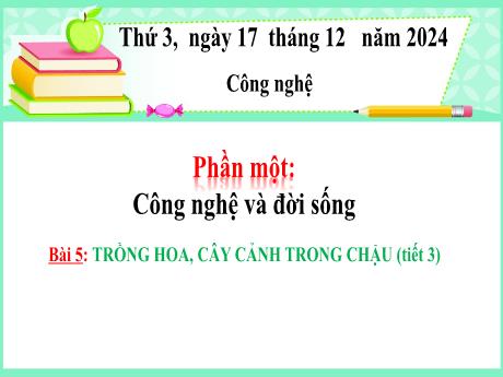 Bài giảng Công nghệ Lớp 4 (Kết nối tri thức) - Phần 1: Công nghệ và đời sống - Bài 5: Trồng hoa, cây cảnh trong chậu (Tiết 3